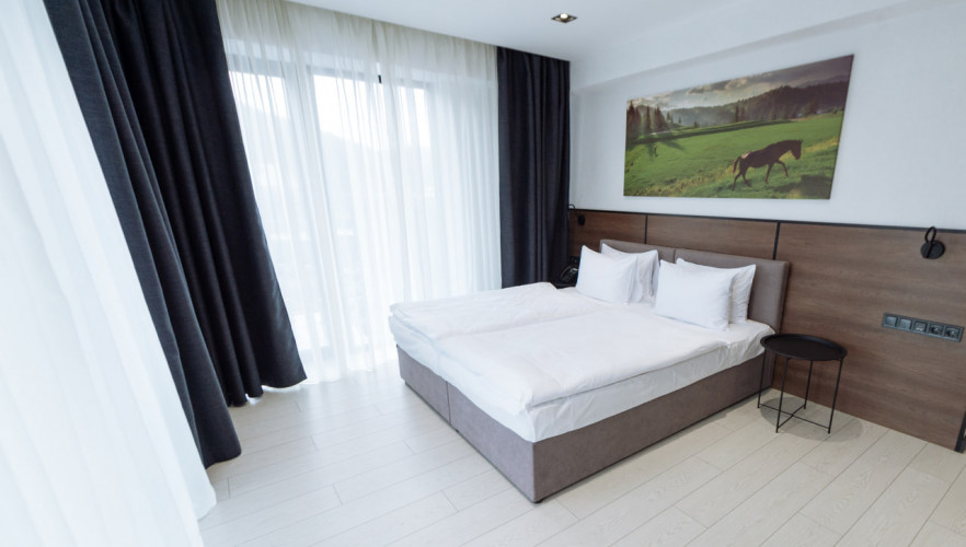 Апартаменти з терасою